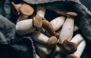 Prodcuteur-champignons, sourcing produits