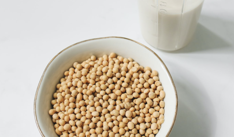 Les origines du tofu
