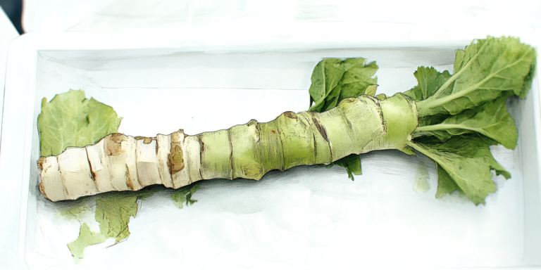 Wasabi, la grande énigme