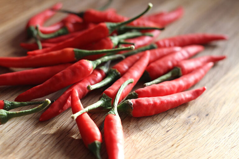 Piments, echelle de Scoville